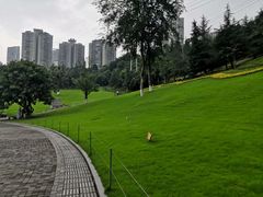 -龙头寺公园
