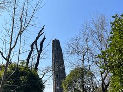 -上海佘山国家森林公园天马山园