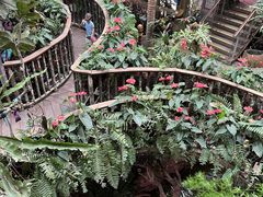 -正佳雨林生态植物园