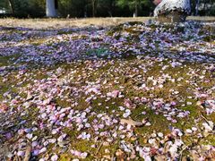 -白塘生态植物园