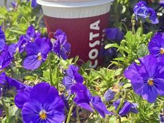 -COSTA COFFEE(上海虹口公园店)