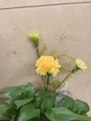 -耐味林月子会所(黄兴公园店)