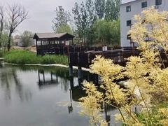 -白洋淀景区
