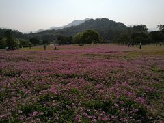 -福建鲤鱼洲酒店