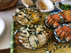 -蟹天蟹地农家菜·阳澄湖大闸蟹(浅水湾店)