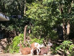 -杭州动物园