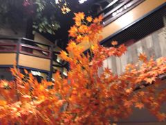 -彭厨(福永店)