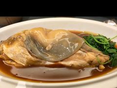 -沈灶河豚宴·河豚融合餐厅(汉中路店)