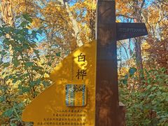 -云顶山风景区