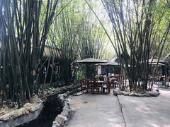 -勐丽梦兰傣味餐厅