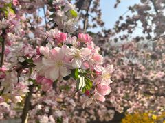 -海棠花溪(元大都城垣遗址公园)