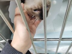 -达爱动物医院·犬猫分区·CT·复杂眼科(远洋山水分院)
