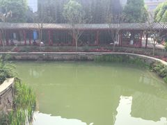 -龙潭水乡
