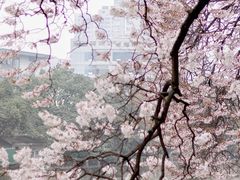 -红星桥(地铁站)