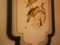 -青泰足浴·SPA养生连锁(新区店)