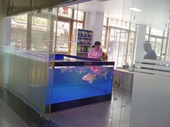 -中环花鸟鱼虫市场