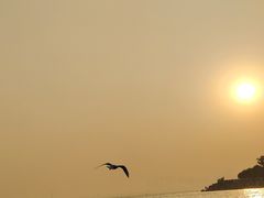 -深圳湾公园(南山区)
