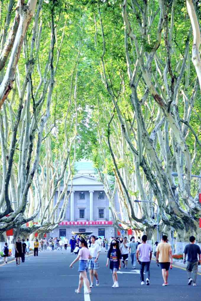 东南大学(四牌楼校区)-"叔叔就是从东南大学毕业的,现在在医院担任.