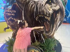 -TOYSRUS玩具反斗城(上海万象城店)