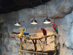 -Zoolung Zoolung动物主题公园(海信广场店)