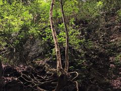 -藏龙百瀑风景区