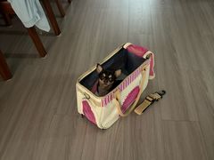 -德元·美联众合24小时动物医院(总院)