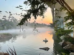 -罗红摄影艺术馆