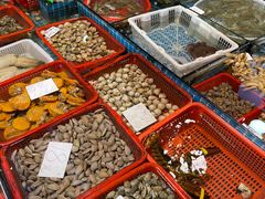 水产区-船奇蒸汽海鲜·闽菜(八市海鲜总店)