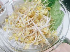 豆芽菜-盐枭肴·川味自贡菜(南强街店)