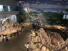 -自贡恐龙博物馆