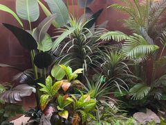 -鱼翅楼·津派砂锅鱼翅(水上公园店)