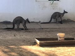 -秦皇岛野生动物园