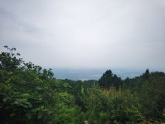 -北京西山国家森林公园