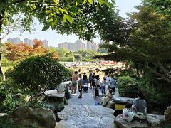 -青枫公园