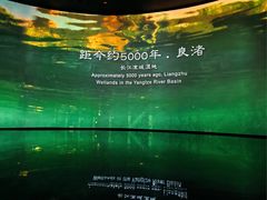 -中国湿地博物馆