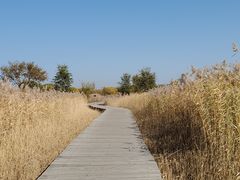 -野鸭湖国家湿地公园