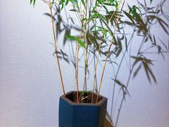 -十二舍·湯物素煮(江泰潤政店)