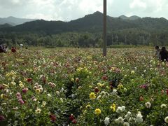 2013-09-06-534-百里山水画廊乌龙峡谷