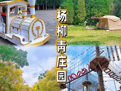 -杨柳青庄园