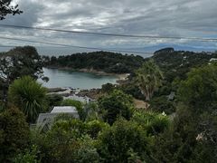 -怀希基岛
