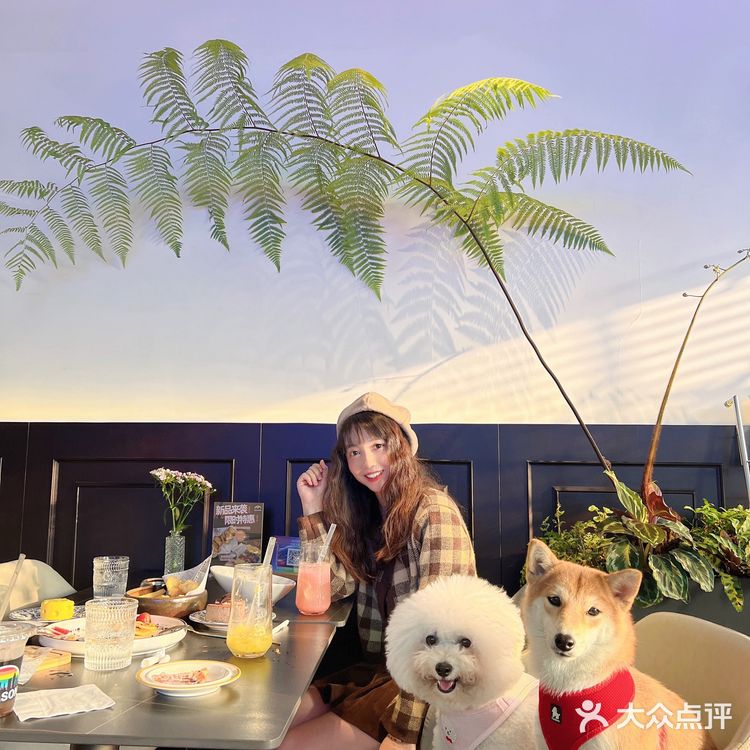 东莞宠物友好店|带着狗狗在森林里下午茶