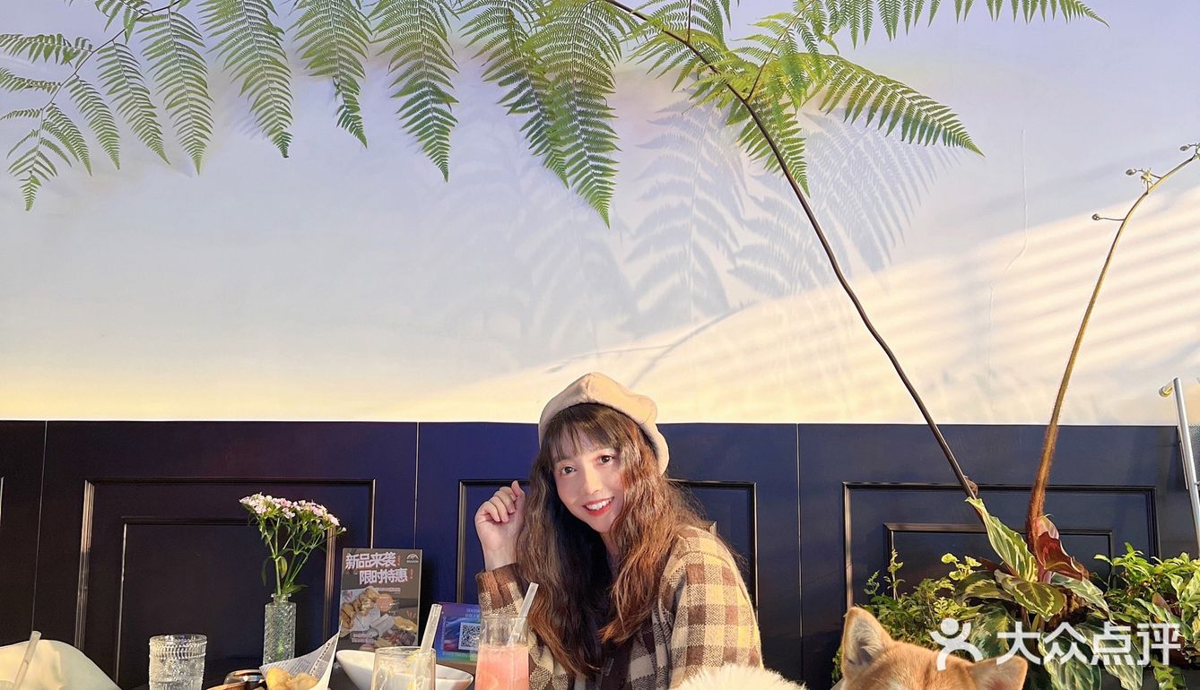 东莞宠物友好店|带着狗狗在森林里下午茶