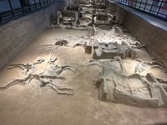 -洛阳周王城天子驾六博物馆