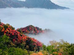 -秦岭终南山世界地质公园翠华山景区
