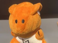 -运动派(北京店)