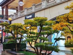 -王府井奥莱临潼小镇(临潼店)