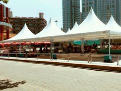 -朝阳公园游乐园