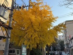 -好利来(团结湖店)