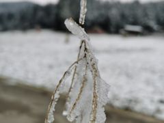 -武陵山森林公园