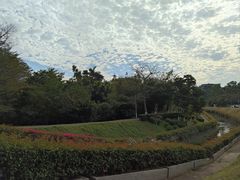 -广东金融学院(校本部)